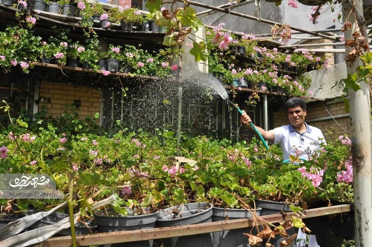 گل‌ها جزئی از خانواده ما هستند