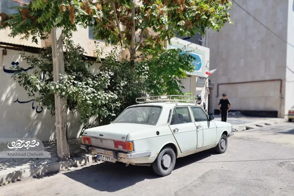 خیابان صدف خیابان صدف
