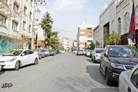 ایستاده همچون «سرو»