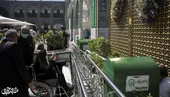 زدودن غم دوری از مجاوران 