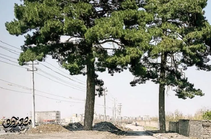 قاسم آباد