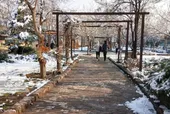 &laquo;گلایل&raquo;؛ پاتوقی دلنشین برای دورهمی اهالی محله امامیه