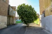 خاطرات کوچه دوازدهم در تپل&zwnj;محله 