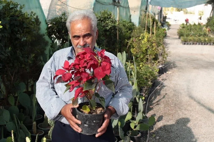 محمد تقی دهستانی