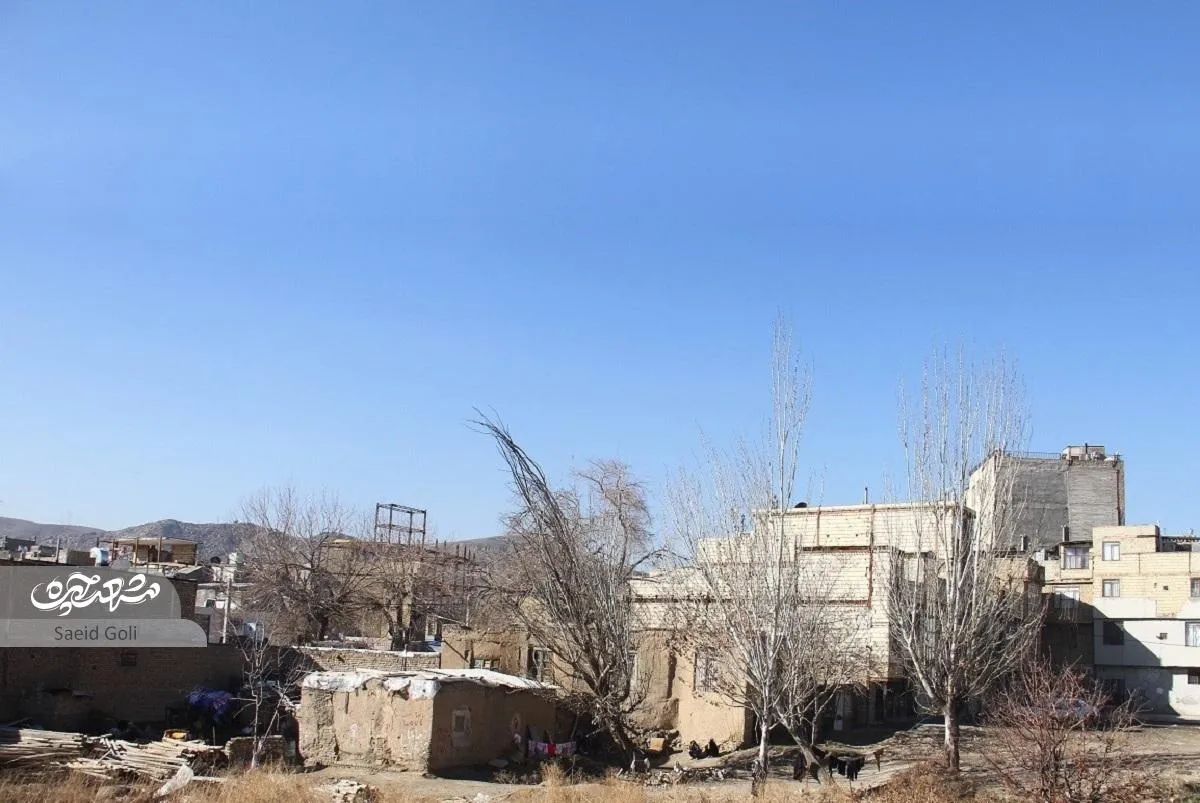 سالانه هزار تن گندم از روستای پاچنار برداشت می‌شد