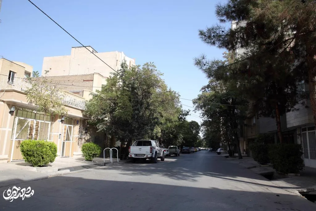 عکس بزرگ بالای صفحه