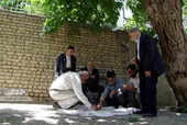 درختان توت حاج حسین ملک در مشهد زبانزد بود