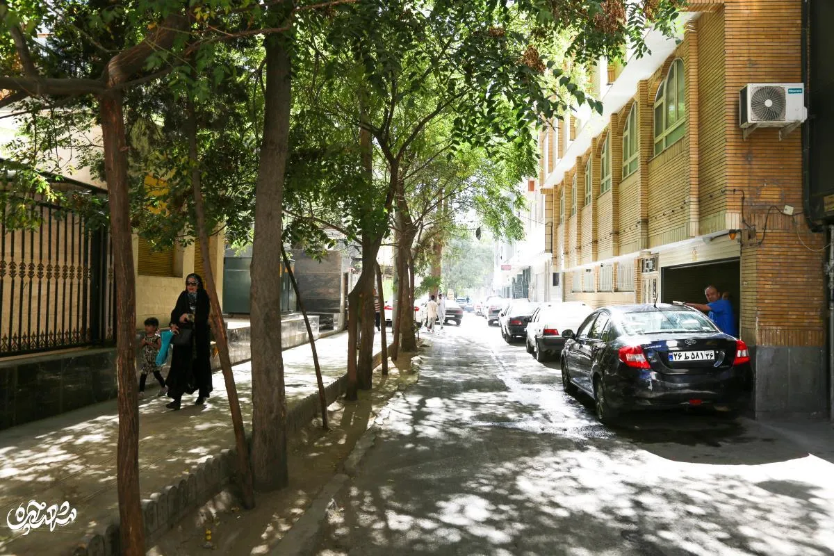 کوچه درختی