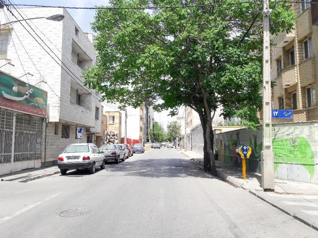 عنصری غربی