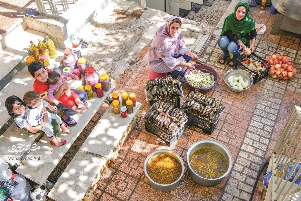 کارآفرینی جاری‌ها در حیاط خانه