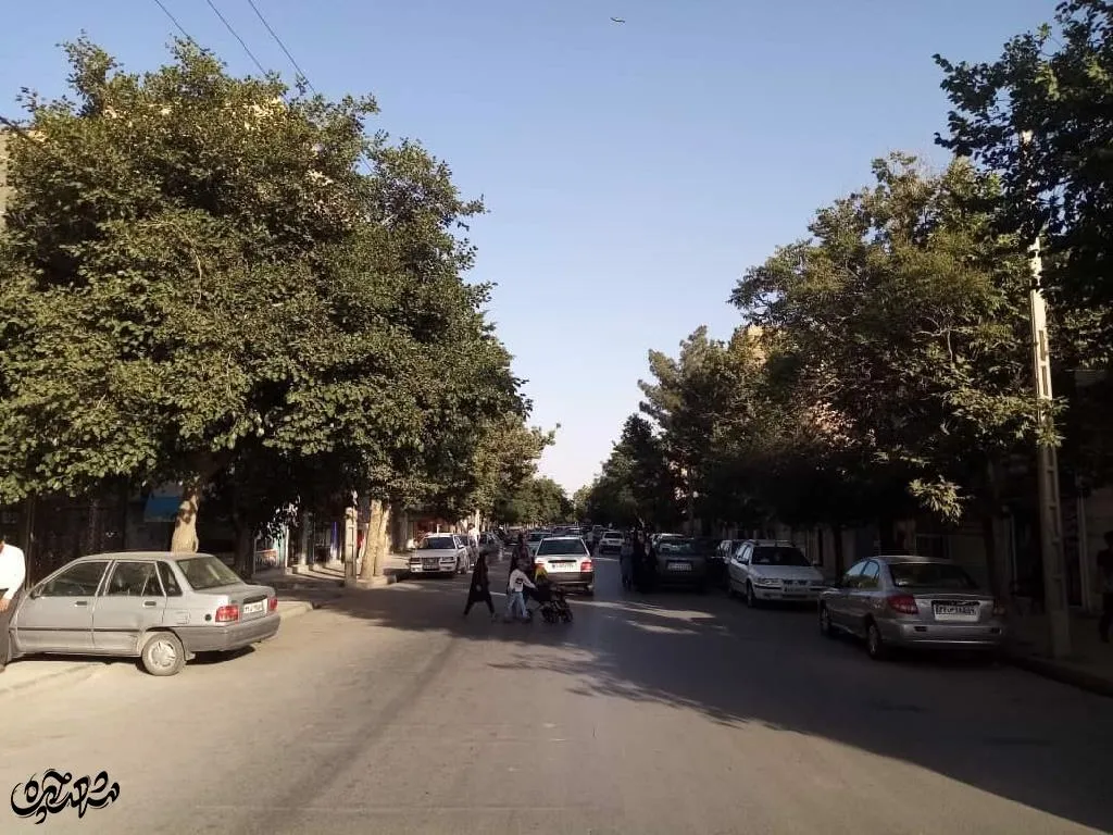 کوچه شهیدعلیزاده در مشهدقلی