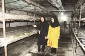 خواهران تولیدکننده قارچ&zwnj; با دست خالی صادرکننده شدند!