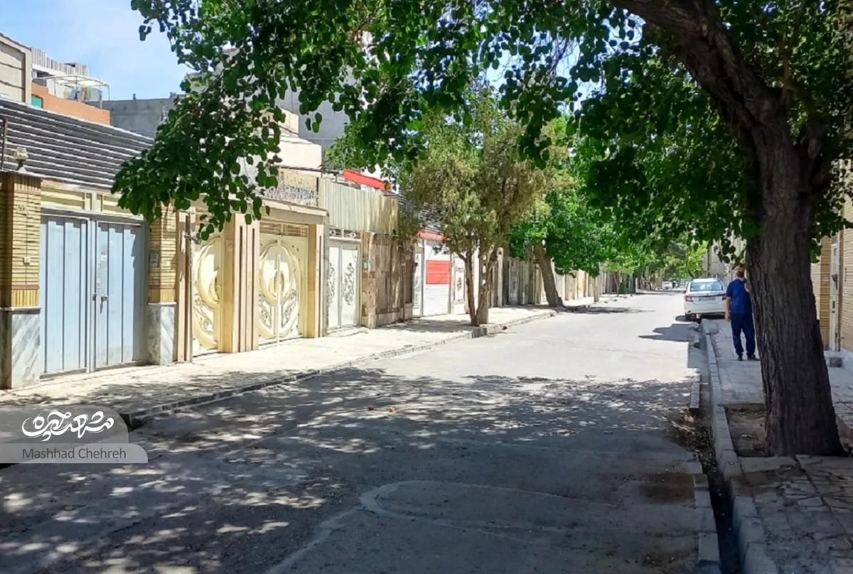 زنده به معماری قدیم