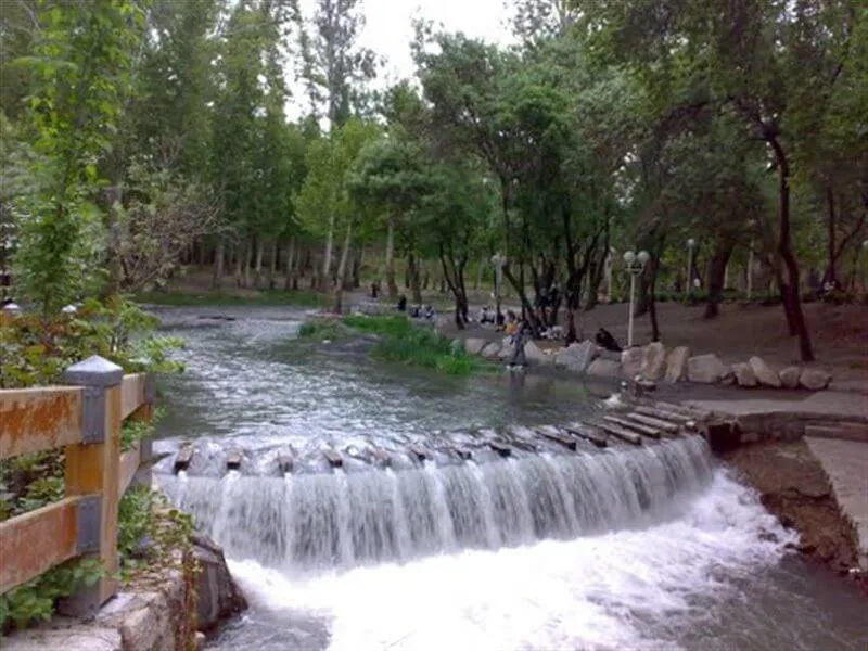 احداث گالری و سایت پرنده نگری در باغ وکیل آباد