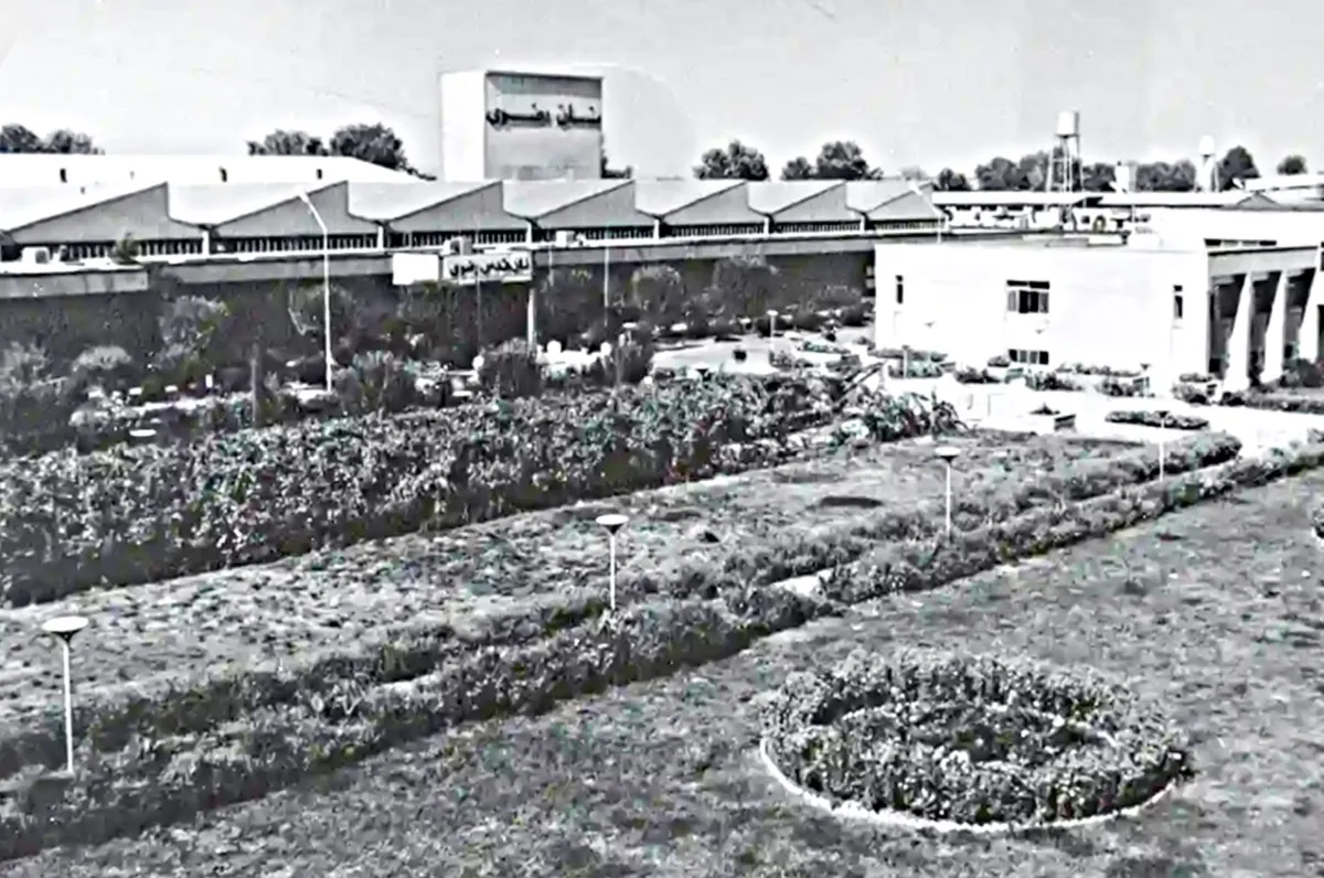 نان رضوی