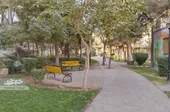 کال قره&zwnj;خان در منطقه یک شهرداری مشهد سبز شد