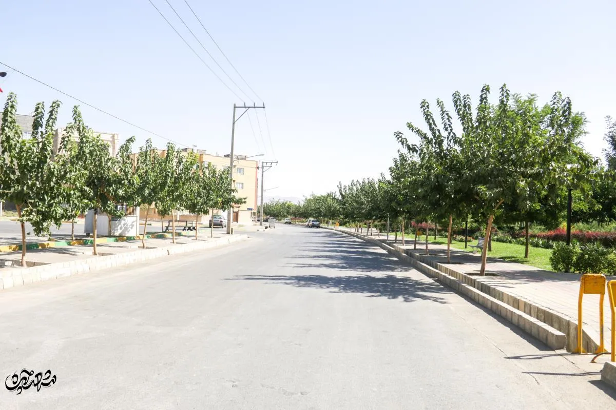 محله التیمور