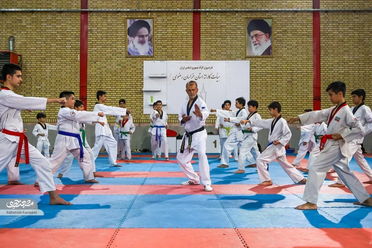 حیدر کوثری