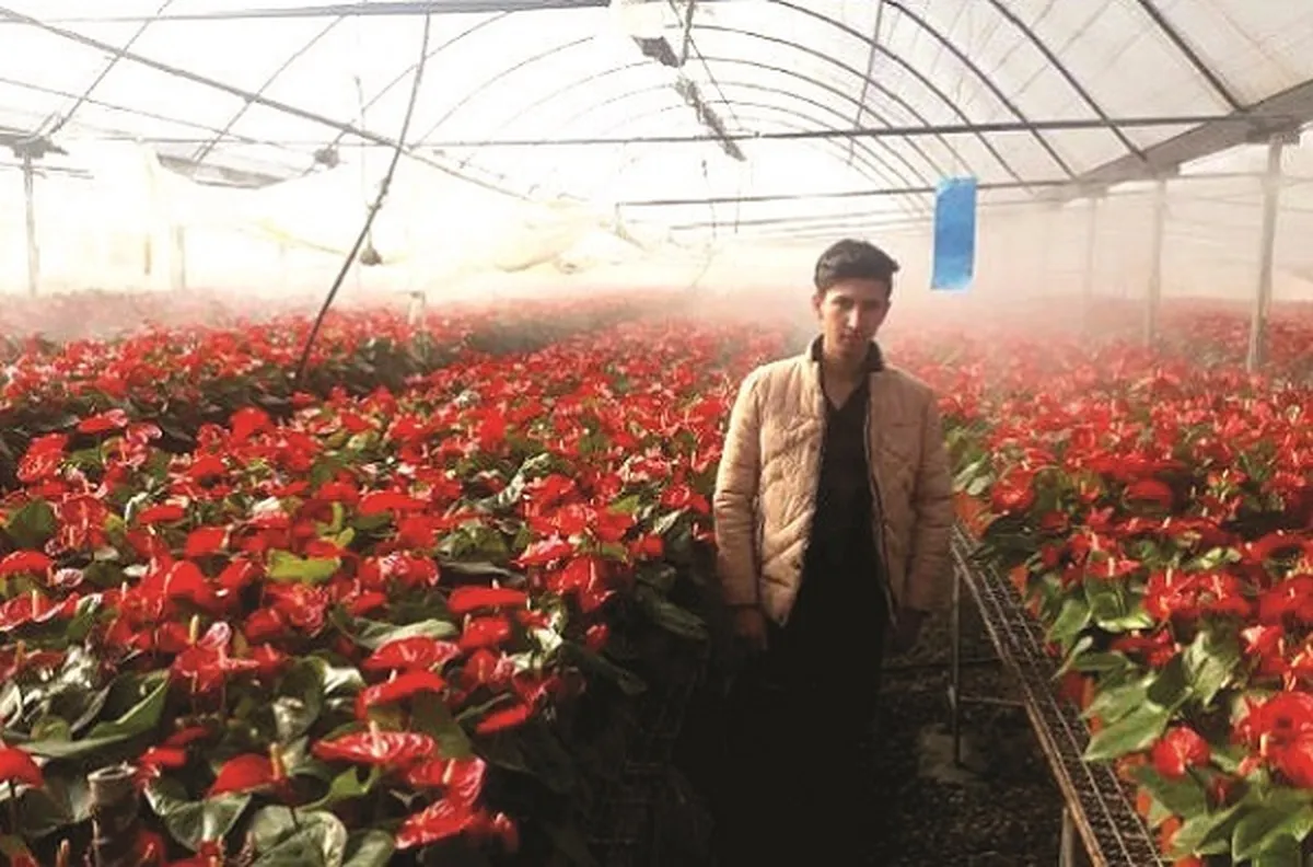 کسب و کار گل نشان