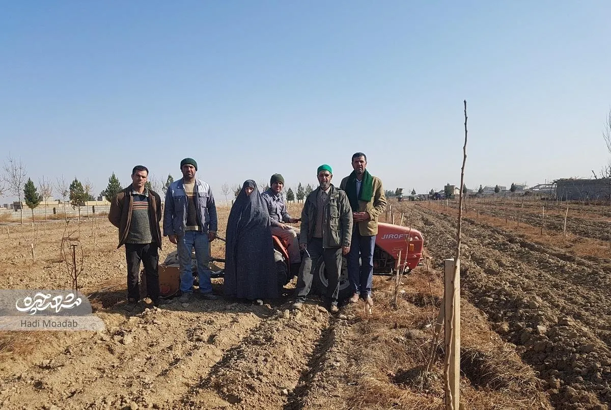 یک روز زندگی در مزرعه خاندان رضوی