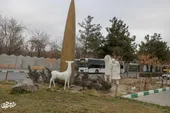 شورانگیزی بهار در ایستگاه قطار