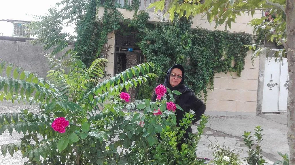 طاهره معصومی هنرمند