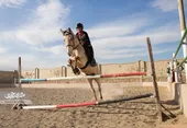 برادران خاکسار اسب ورزش را در طرق زین کردند