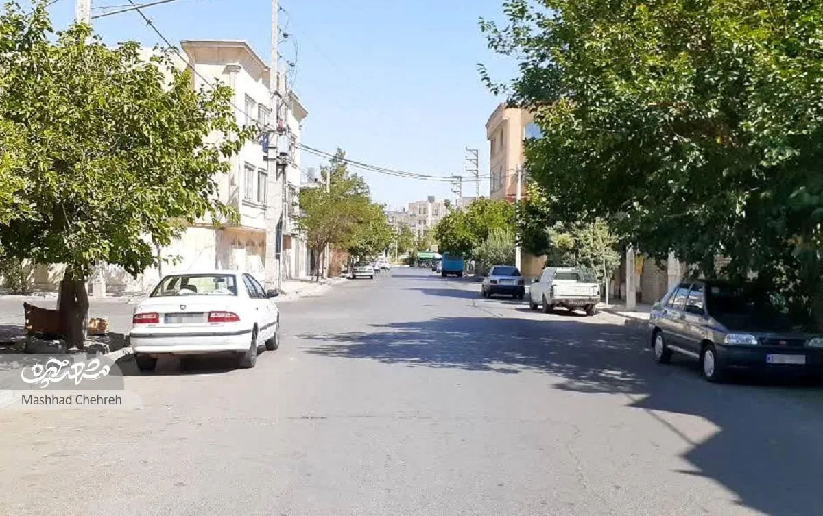 معبر فرهنگی و آموزشی شاهد