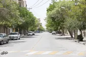 خیابان مسلم شمالی، راسته ایثار و شهادت