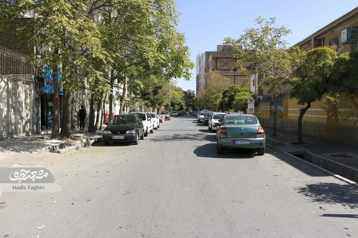 کوچه سرسبز آموزش در دانش‌آموز