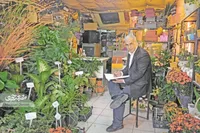 نویسندگی در کنار گیاهان گلخانه‌