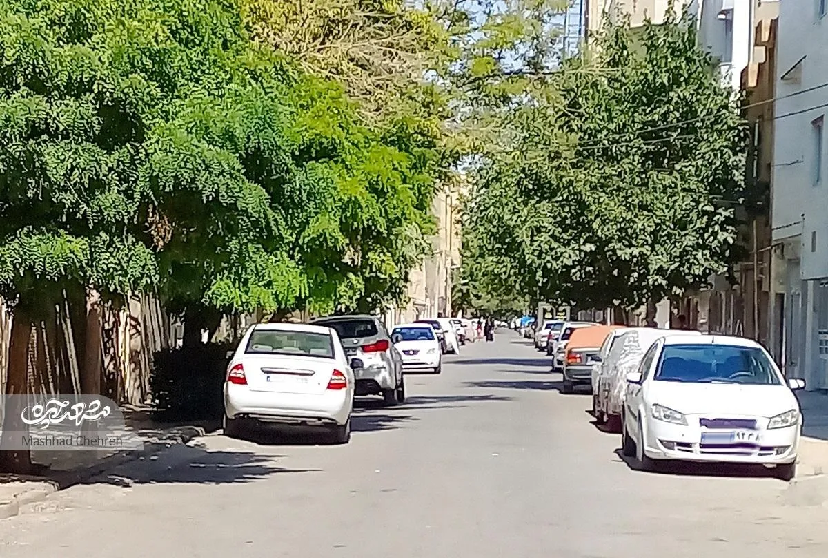همدلی با محوریت مسجدی در کوچه وحید