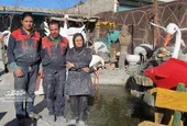 کارآفرینی خانوادگی کرمی&zwnj;ها در کارگاه مجسمه&zwnj;سازی