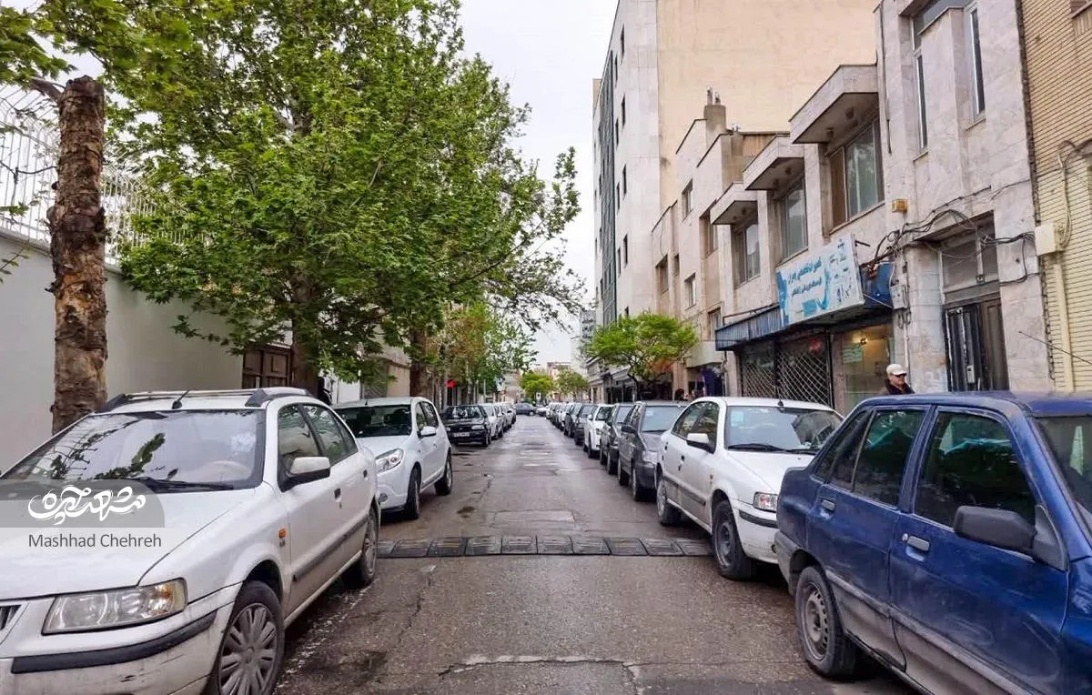 خاطرات فراموش‌شده جنت