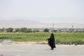 یادی از &laquo;نیزه&raquo; و نیزار&zwnj;های گمشده&zwnj;اش