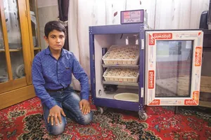 درآمدزایی یک نوجوان از مرغداری