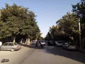 کوچه درختان 80ساله