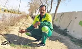 کارگر سبزانگشت