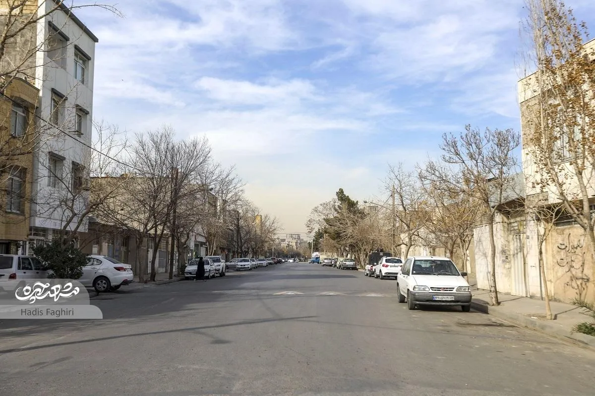 کوچه باغ انگوری چمن