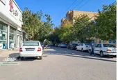 خیابانی با بوی چوب در کشاورز ۳
