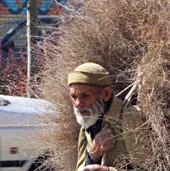 تلاش پیرمرد خارکن برای گلستان کردن زندگی خانواده&zwnj;اش