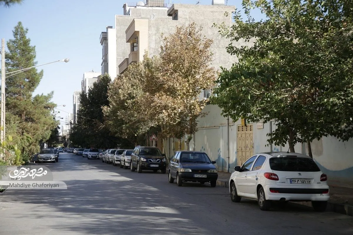 دانشجو‌ی۱۱ خیابان پردانش‌آموز
