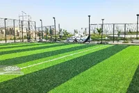 چمن مصنوعی کوه‌پارک، پاتوق ورزشکاران است