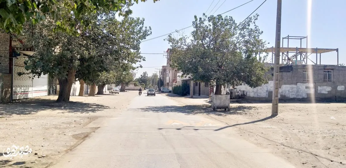 شاهنامه۳۱