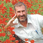 محله قرقی از نگاه فکاهی