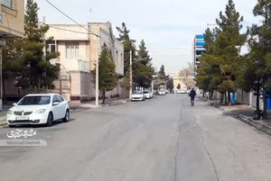 سرسبزی کوچه استادیوسفی ۱۲ هدیه آقا نعمت‌الله است