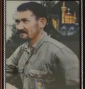 شهید علیمردانی قهرمان تنگه چزابه بود