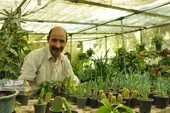 گلخانه هادی بوی دریا می&zwnj;دهد