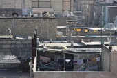رونق &laquo;بام فروشی&raquo; این&zwnj;بار در توس!