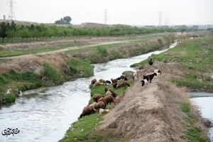  مرگ تدریجی کشف‌رود اساطیری